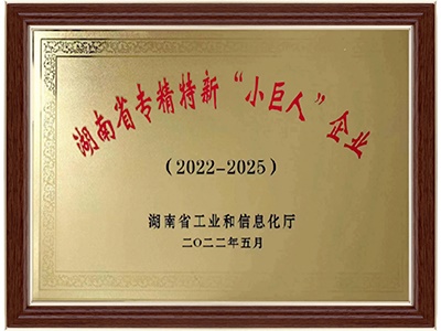 湖南省专精特新“小巨人”企业