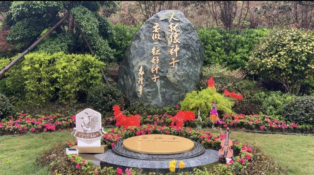 禾下乘凉梦，一稻一人生 我们永远怀念袁爷爷 #安全用电你我湘联